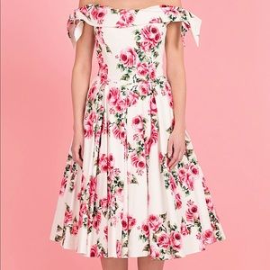 EUC Tilly Vintage Rose Prom Dress 💗